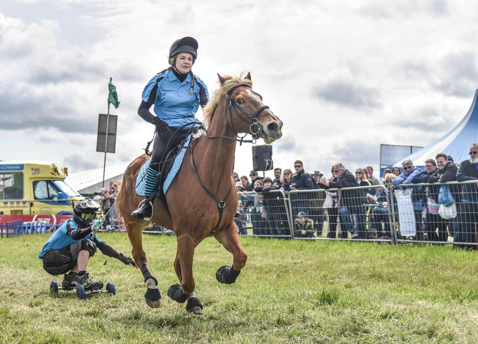 New Forest Show